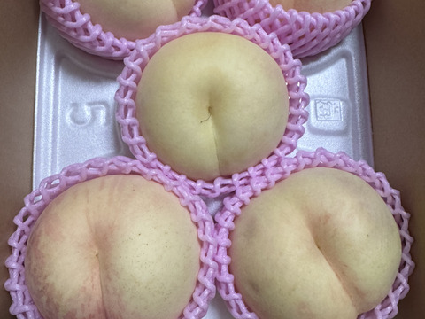 2026年予約（家庭用）　糖度11度以上　1.5～2.0kg（4-8玉）