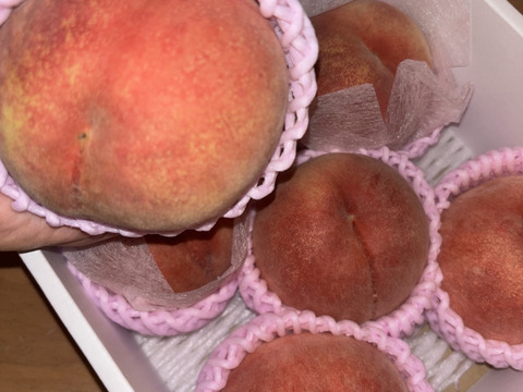 まるせい果樹園の桃『川中島白桃』2㎏　化粧箱　(4～7玉入り)  mk1