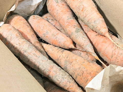 【自然栽培・皮ごと食べて】黒田五寸ニンジン　1.8Kg