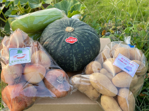 天草産 基本野菜セット
〔ジャガイモ、玉ねぎ、人参、カボチャ✙時期によって少し変更野菜〕
5~8品目、80サイズ箱いっぱい≪やや訳あり≫