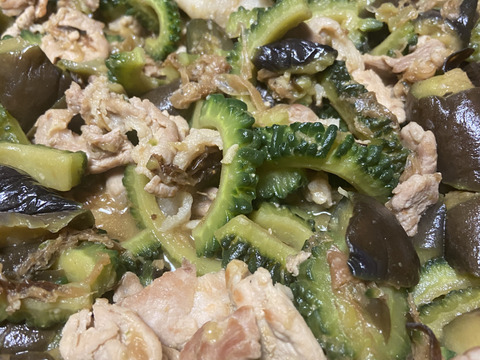 【あとひく苦さ！】
栄養満点！佐土原ゴーヤ8本