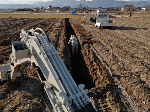 交換無料！ シャキッ甘い、長野県松代産ながいも(ご家庭用)20kg：長野県産の 野菜