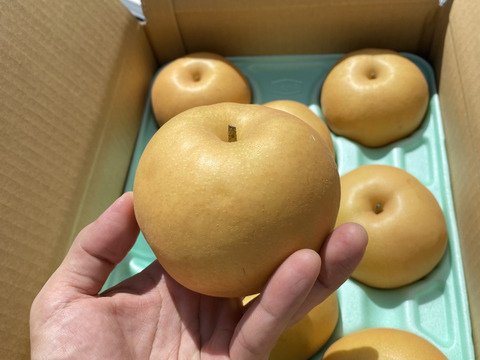 梨っ （ُ م ُ）　南水梨 A品 3kg