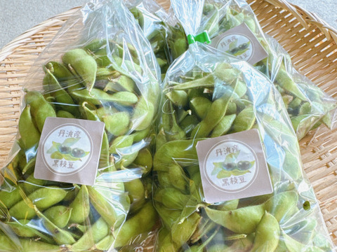 丹波産黒枝豆‼️【本黒枝豆はこの時期しか食べれません‼️】お試し500g入‼️