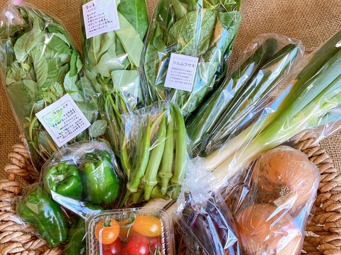 元氣な野菜*MEGLIY金沢の初夏野菜セット(8〜10品)【農薬不使用】