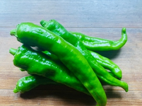 とうがらしの王様！京都府産万願寺とうがらし（サイズの大小あり）　500g
京野菜