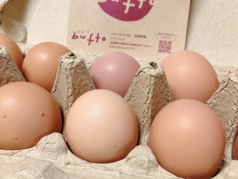 (冷蔵)平飼い有精卵　20個　卵パック入り　産んだ日発送たまご
