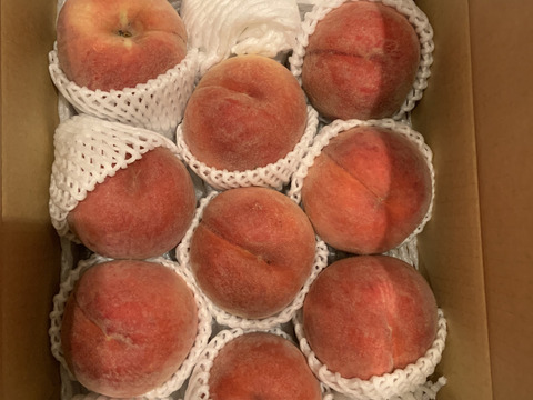 運命の出会い⁉️【67品種の桃を栽培】品種は何が届くかお楽しみ3㎏　9月発送