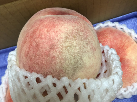 旨みと甘さが贅沢に詰まった桃の代表品種『白鳳』amenimomakezu 優品規格