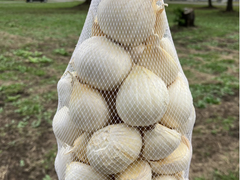 にんにくの王様　青森にんにく『白玉王』特大バラにんにく(1kg)