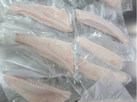 【冬ギフト】ヨコワ(ヨコ)クロマグロの子刺身柵、フライ用セット