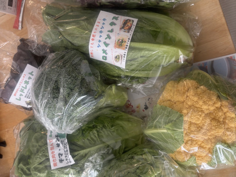 【福袋】玉ねぎ7kg🧅とキヌヒカリ白米5kgその他葉物野菜など5種類以上の野菜セット