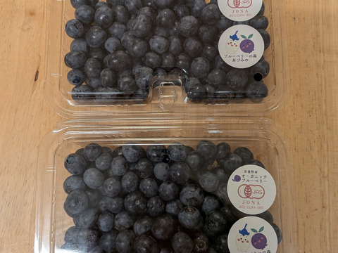 【2025最後の受付！有機JAS認証】信州安曇野の大地の力で育ったオーガニックブルーベリー（500g)【生食用】