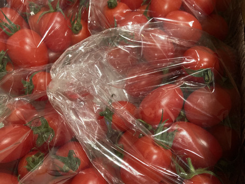 あま～いプチトマト（アイコ）がたっぷり1㎏入ります