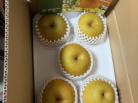 甘熟。PREMIUM幸水梨】贈答用約3kg( 5~7個) シャリっ。ジュワっ