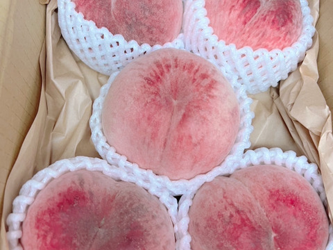 【数量限定】夢桃香（ゆめとうか）｜硬い桃の常識を超える希少な新品種　約2kg 約5~6玉