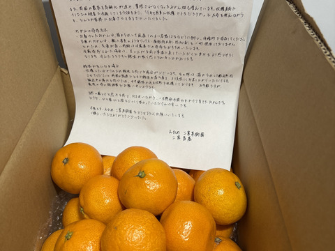 箱込約3㌔　濃い濃い薄皮みかん（Ｓサイズ）