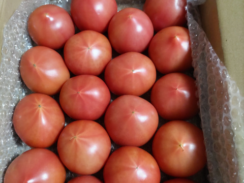 昔ながらのトマト🍅８０サイズ箱詰め(S玉)
