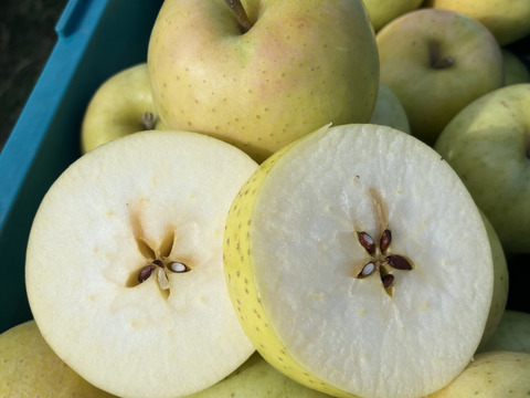 青森県産りんご　王林　贈答用　【3㎏　8～12個入り】