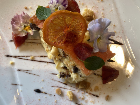 【フリル咲パンジー】40輪　※終了しました。