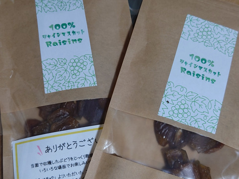 ＼旨味がギュッと濃縮／【シャインマスカット】ほしぶどう50g【岡山県産】