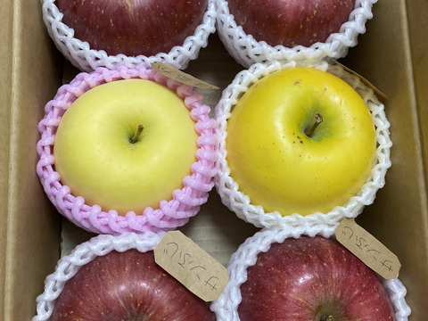 ご自宅で気軽に食べたい方へ【最小サイズ】「旬のりんごおまかせ便」2キロ【りんご食べ比べ】