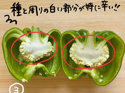 10/31締切‼︎甘くて辛い！長野・信州の伝統野菜ぼたんこしょう（１ｋｇ  約１５〜２０個）