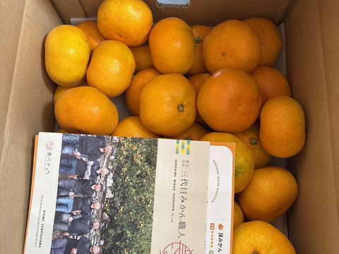 《みかんのある暮らし》三代目の月替わり定期便3kg~5kg+α