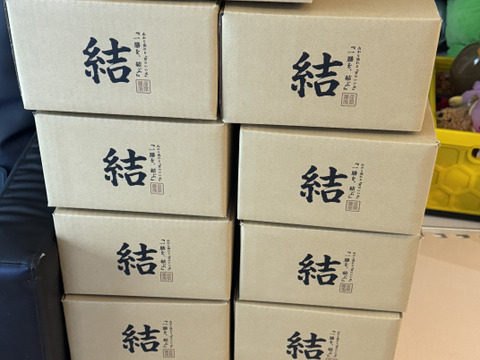 【山形県産つや姫】　パックライス12個入り