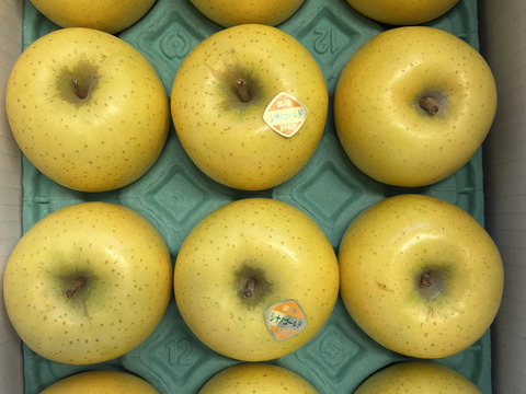 【家庭用】シナノゴールド（小玉） 約3kg(11～14個)