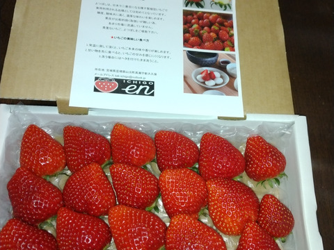 完熟よつぼし☆（ご家庭用・約530g）