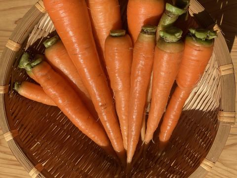訳ありニンジン1kg◆農薬・肥料・動物性堆肥不使用