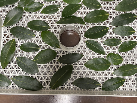 自然栽培　ローリエ　ドライ