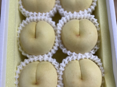 希少！ふゆももがたり（贈答約1.3キロ）5〜6玉