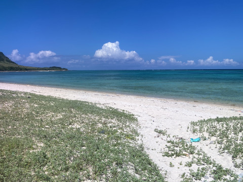 沖縄県石垣島産ピーチパイン2kg入り