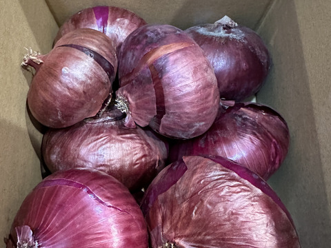 訳ありレッドオニオン❣️3kg〜玉ねぎ大国淡路島からの玉ねぎ