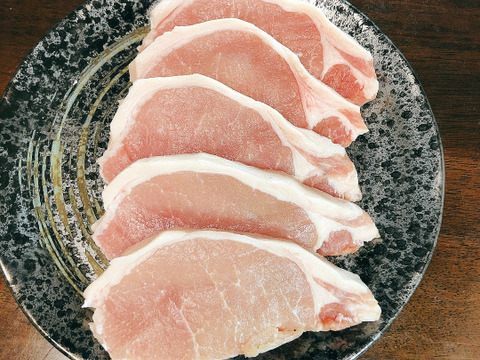 【肉の日セール】会津ひまわり豚　ロース&ヒレのかつかつセット