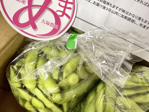 【朝どれ】＜うまっ！＞やみつき必須！うんめえ枝豆！　900g