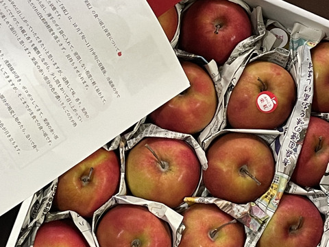 【超希少品種！訳あり】果肉まで赤～いりんご「栄紅」果肉色ムラB品（2.5kg強)