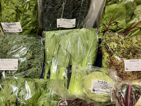 【栽培期間中：農薬不使用】季節の彩り野菜セット　Lサイズ