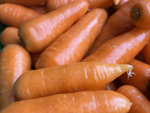 『訳あり』形悪くたって食べて欲しい人参 5kg