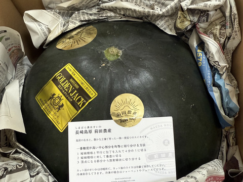金色羅皇の血を引く新品種「ゴールデンジャック」8kg以上 大玉黄色
