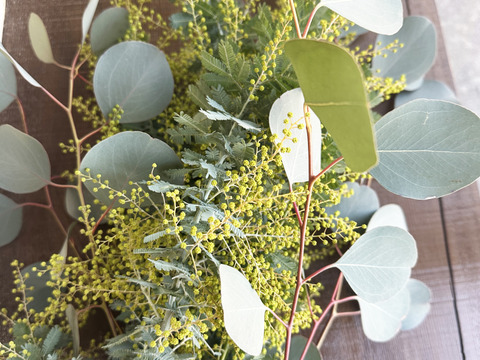 【ふわふわのミモザ10本（つぼみ）】春を感じさせる、ふわふわのミモザ。花瓶に入れてゆっくり楽しんだ後は、丸みのあるハートのポポラスも一緒にリースにして長くお楽しみいただけます。