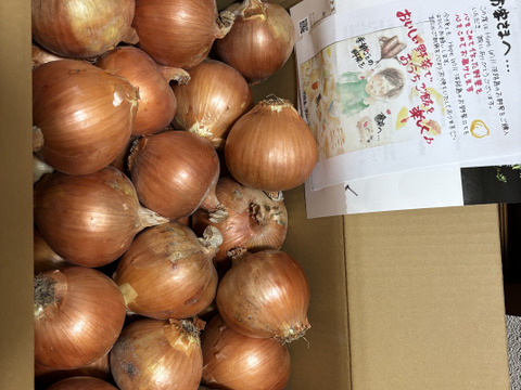 玉ねぎ9kg🅱️🧅淡路島極熟玉葱玉　シャーロットオニオン　玉ねぎ大国淡路島からのたまねぎ