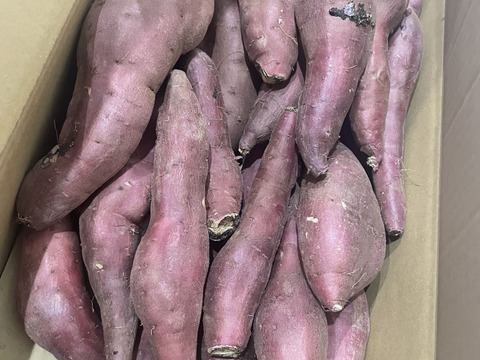 訳あり！熟成紅はるか　5kg  さつまいも