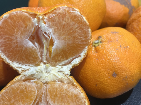 愛媛県産 訳あり甘平2kg