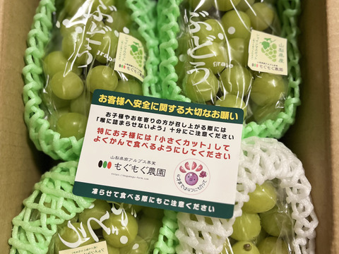 8️⃣ 山梨県産 シャインマスカット箱込み5.3キロ 赤箱🟥に入ったシャインマスカット1.5キロ2房入り沢山 ご注文