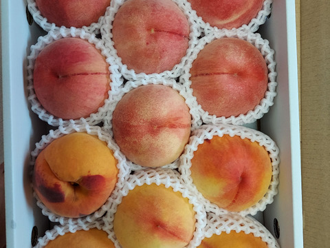 あらかわの桃　13玉　専用出品