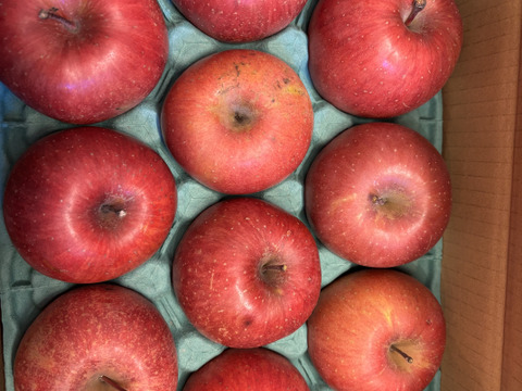 りんごグランプリ2025最高金賞1位🎊サンふじ 3キロ箱 家庭用  6玉〜15玉サイズ 小傷あり  ID80274 長野県 信州 安曇野 リンゴ 幻 幻のリンゴ 予約 希少 旬 甘い