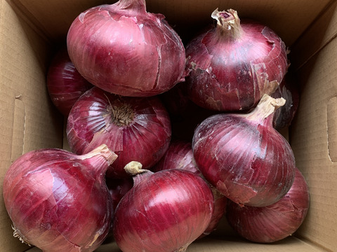 鶴岡 真紀様専用